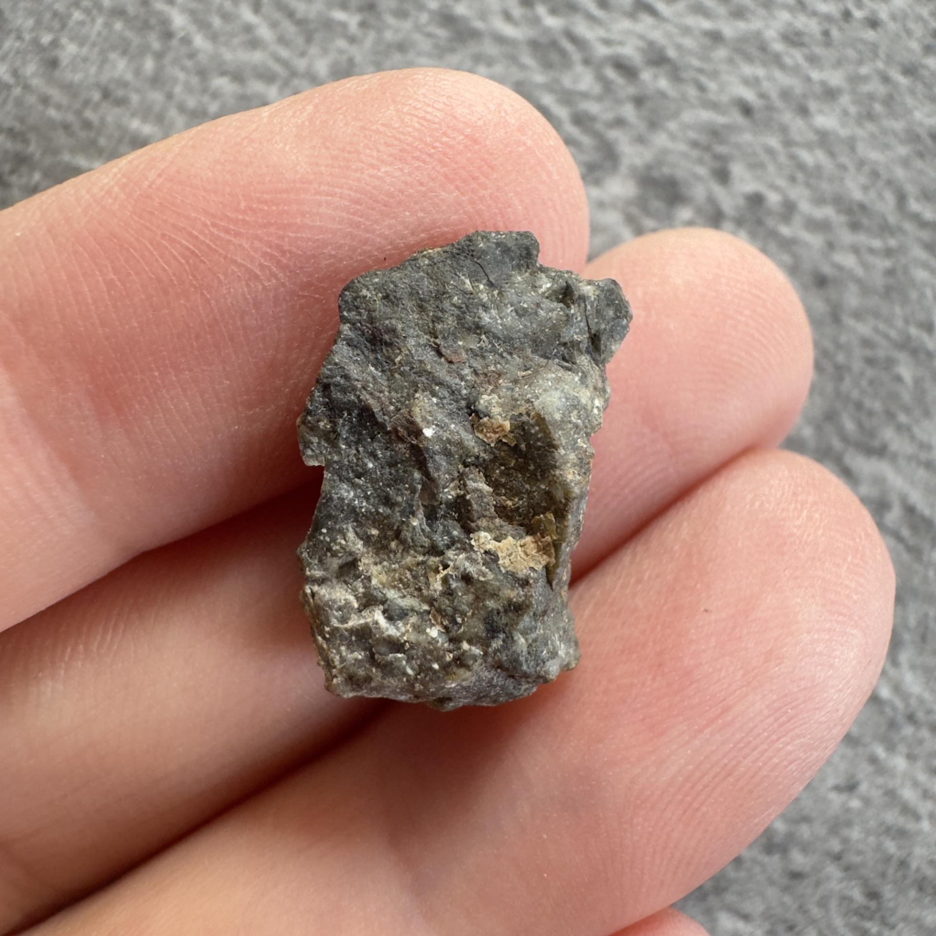 NWA 15169 lunar meteorite