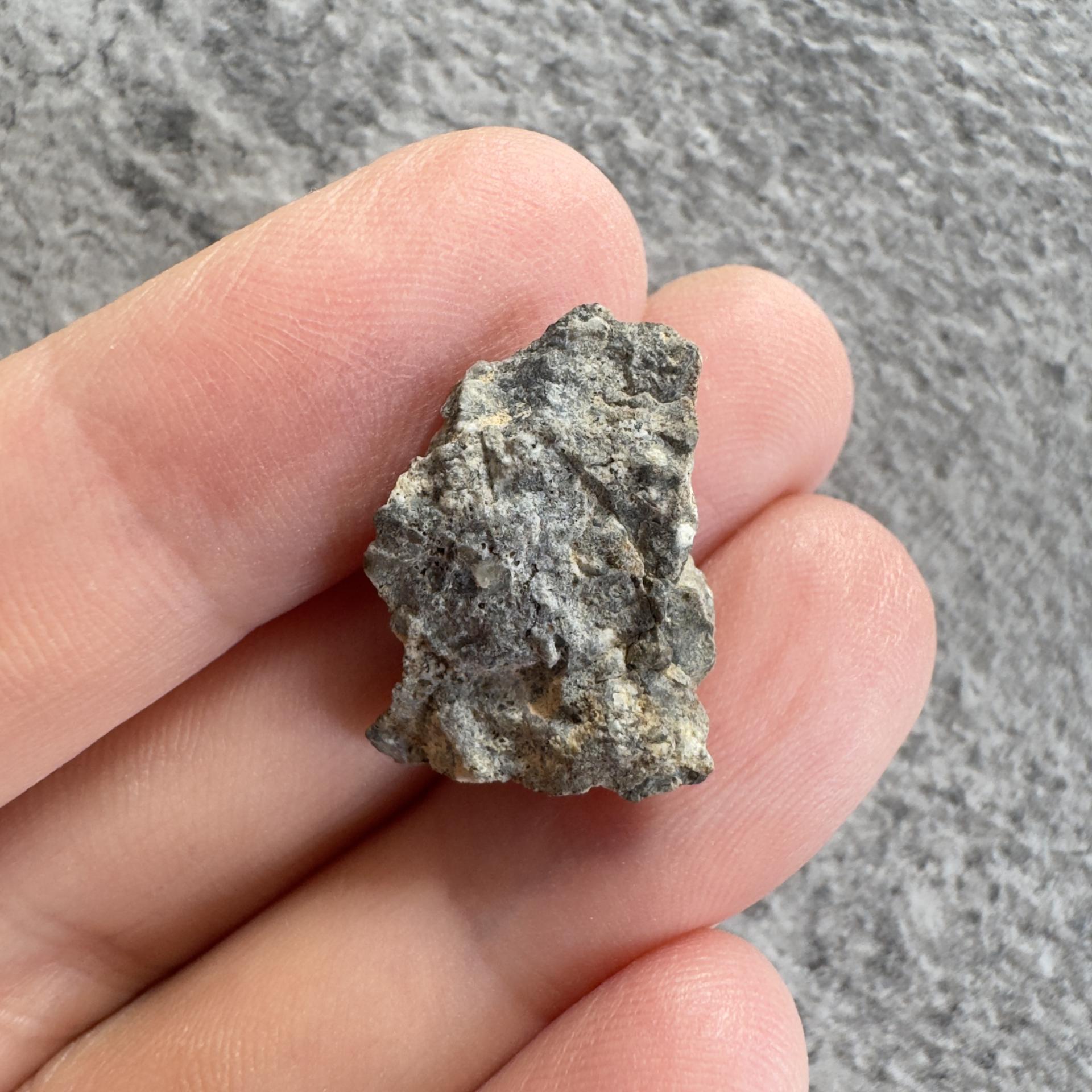 NWA 15169 lunar meteorite