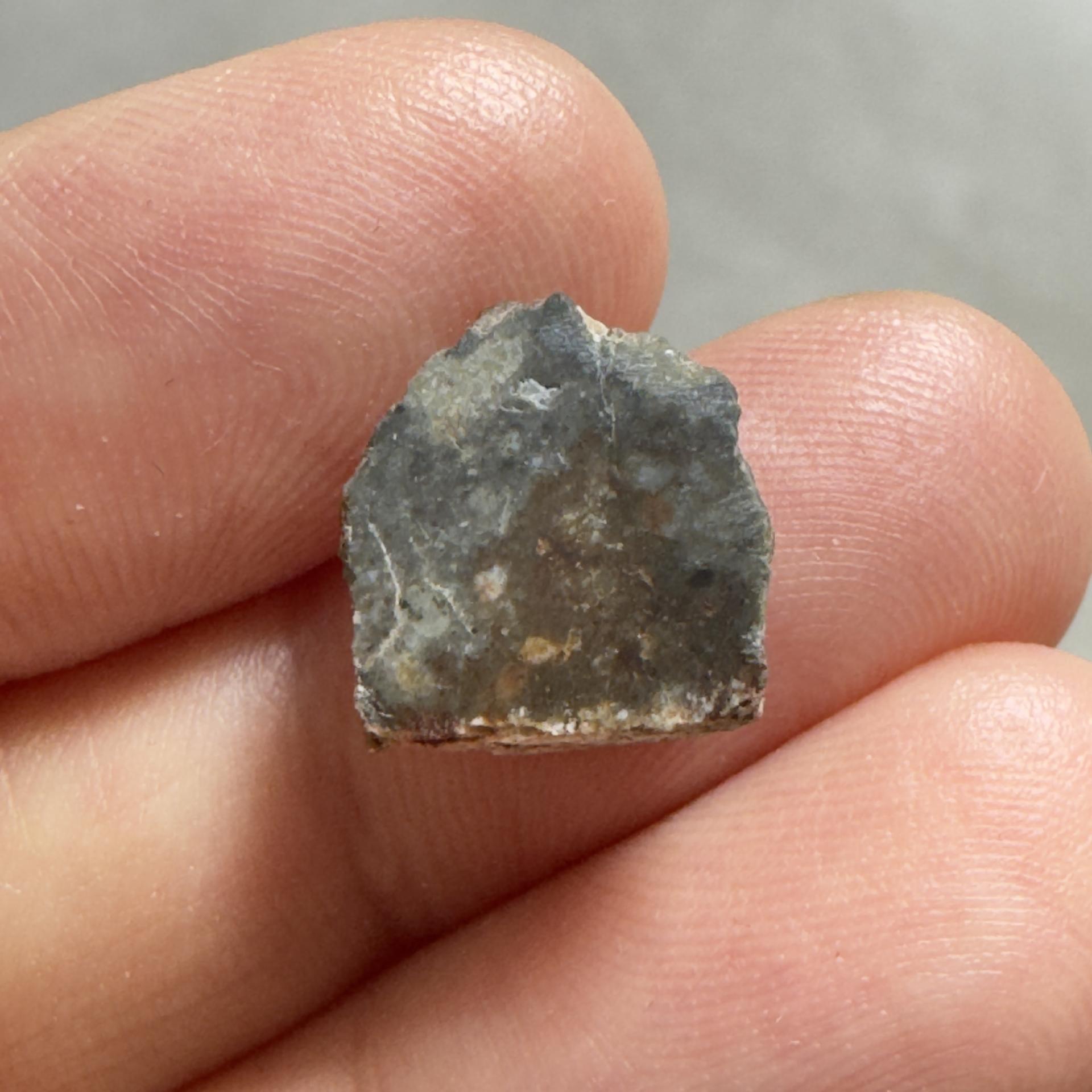 Météorite lunaire NWA 15169