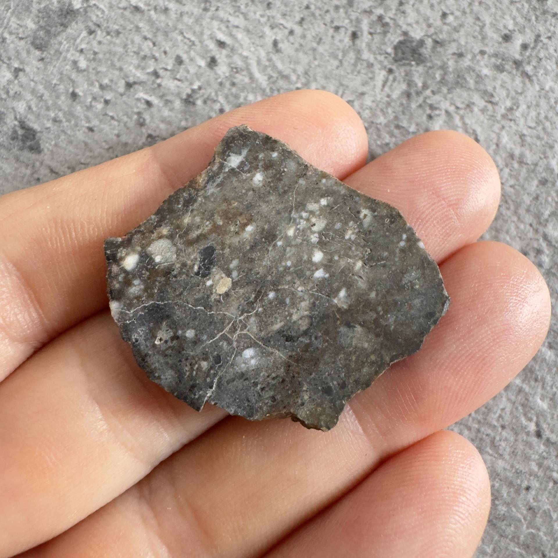 NWA 15169 lunar meteorite