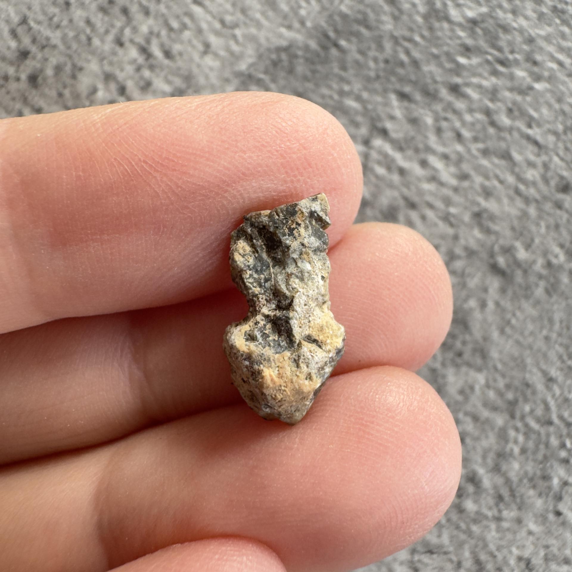 NWA 15169 lunar meteorite