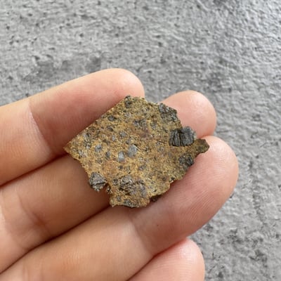 NWA 14099 diogenite