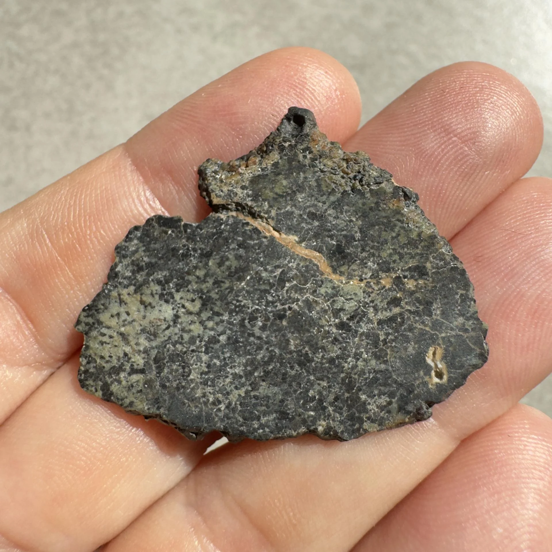 NWA 16051 shergottite