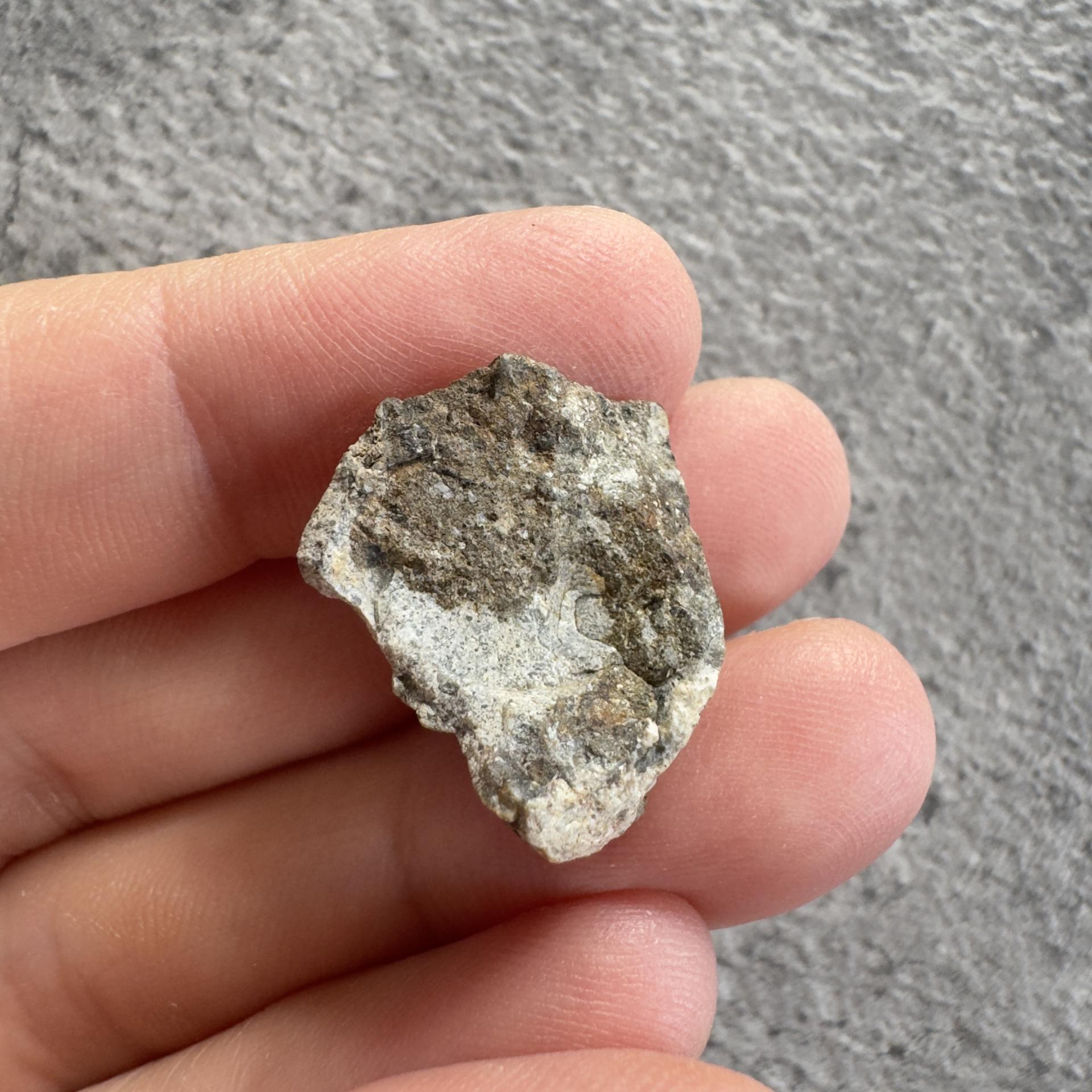 NWA 15169 lunar meteorite
