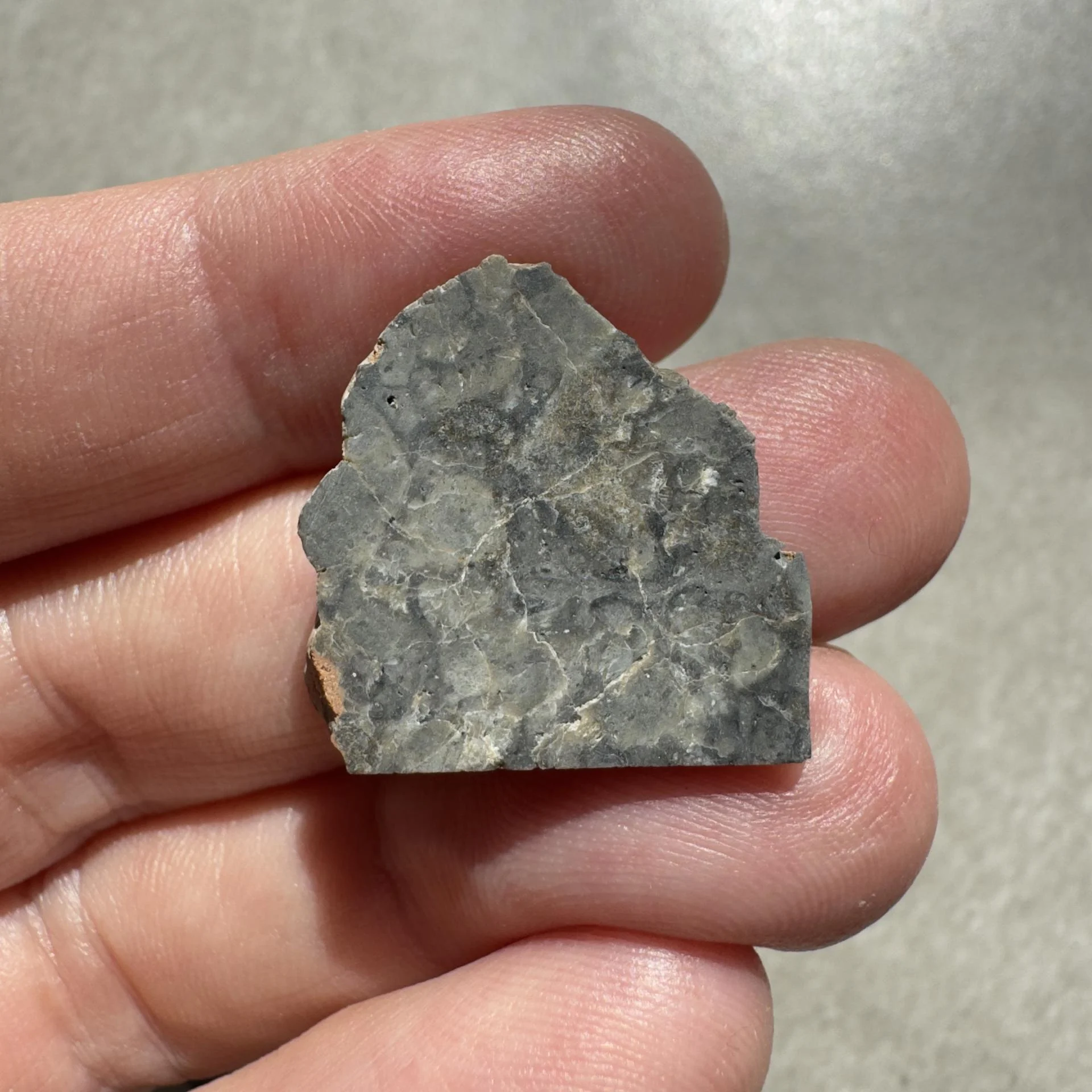 NWA 16888 lunar