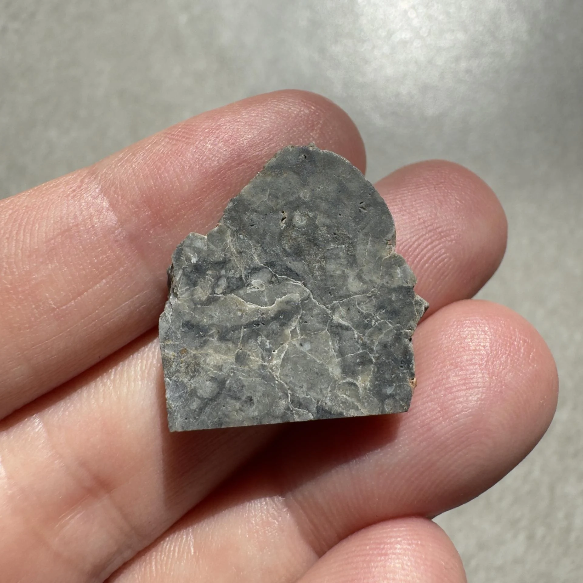 NWA 16888 lunar