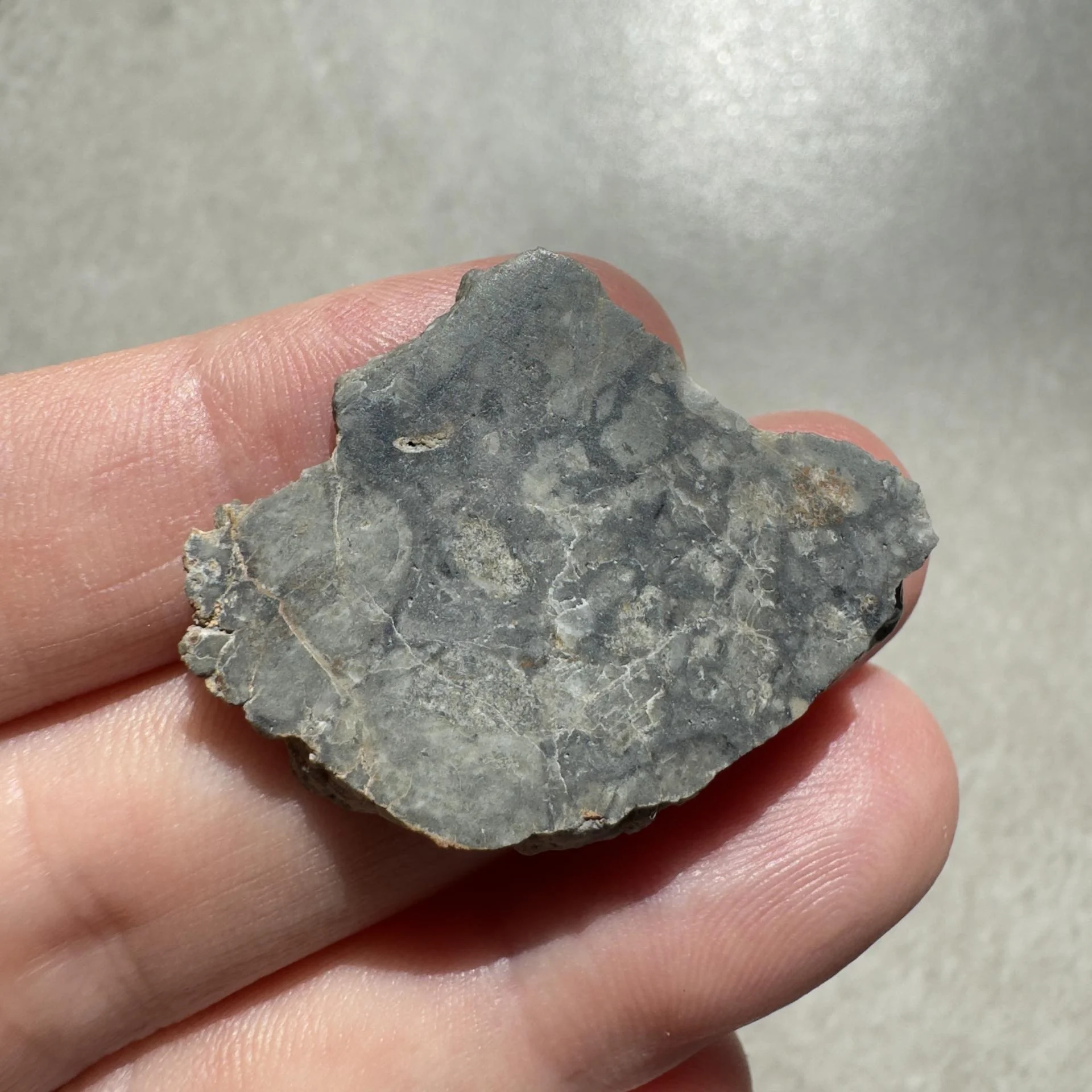 NWA 16888 lunar