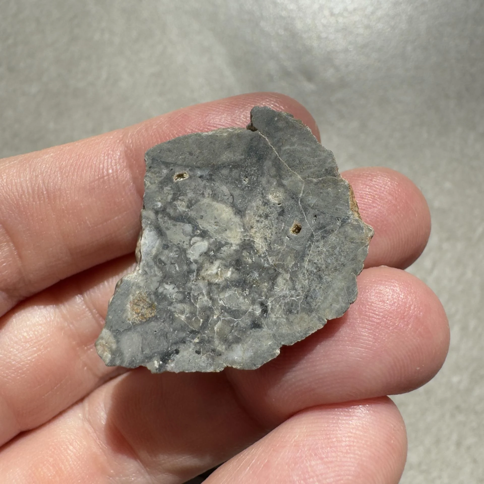 NWA 16888 lunar
