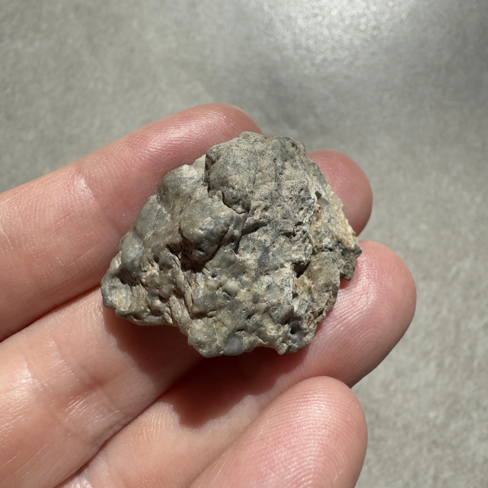 NWA 16888 lunar