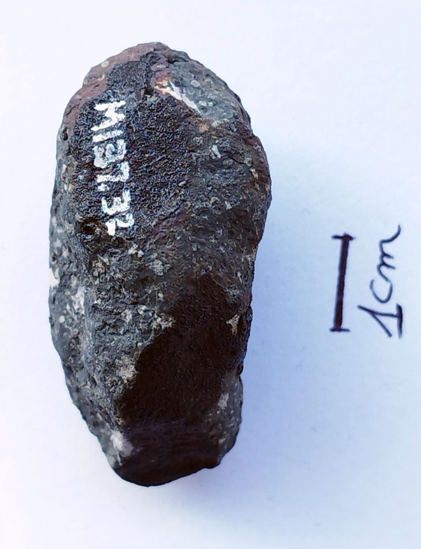 Allende CV3 carbonnée