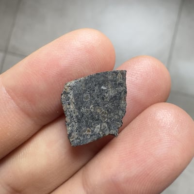 Ouargla 010 shergottite