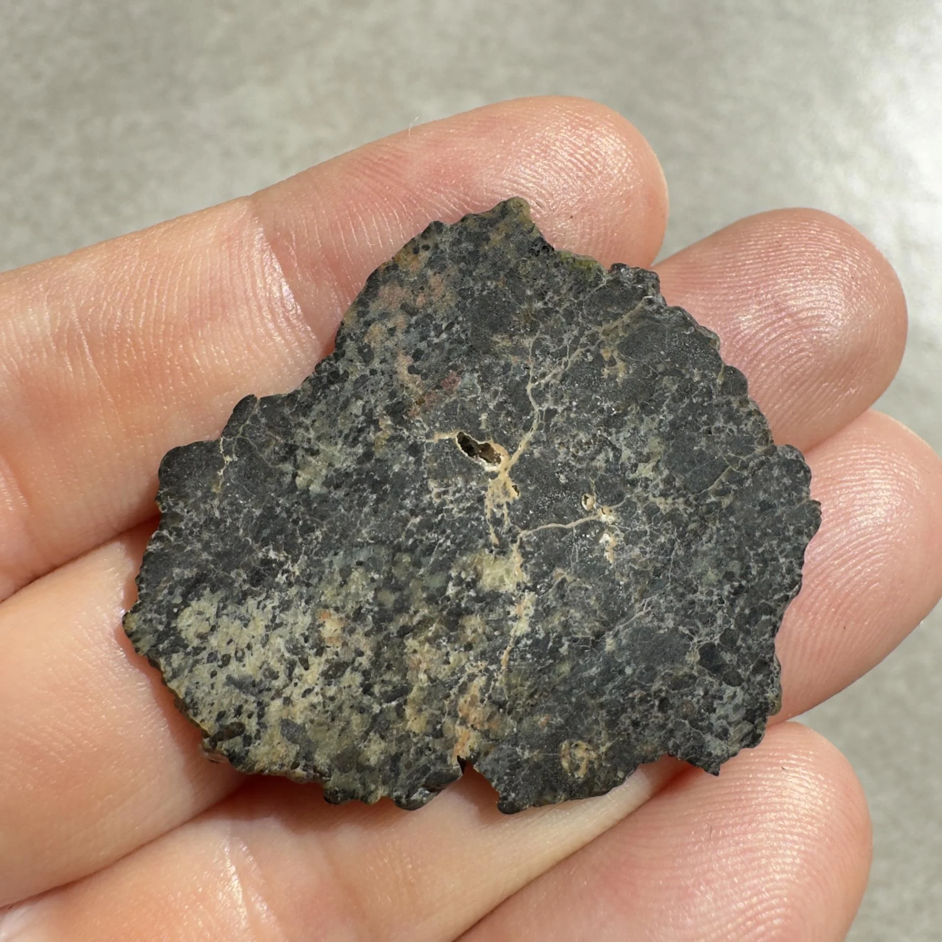 NWA 16051 shergottite