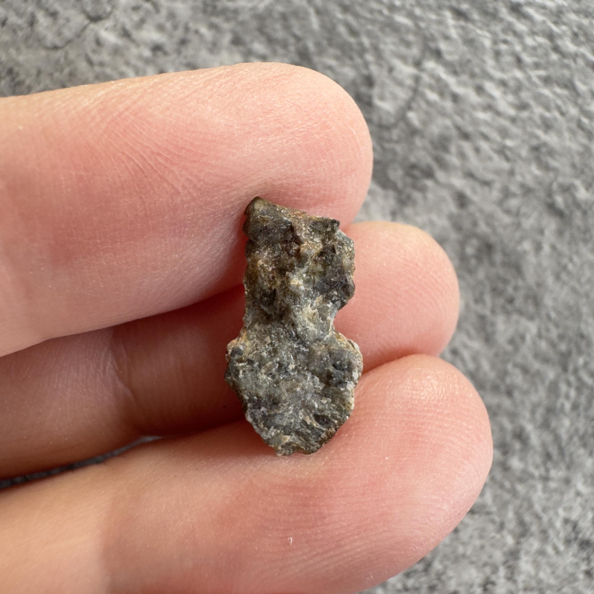 NWA 15169 lunar meteorite