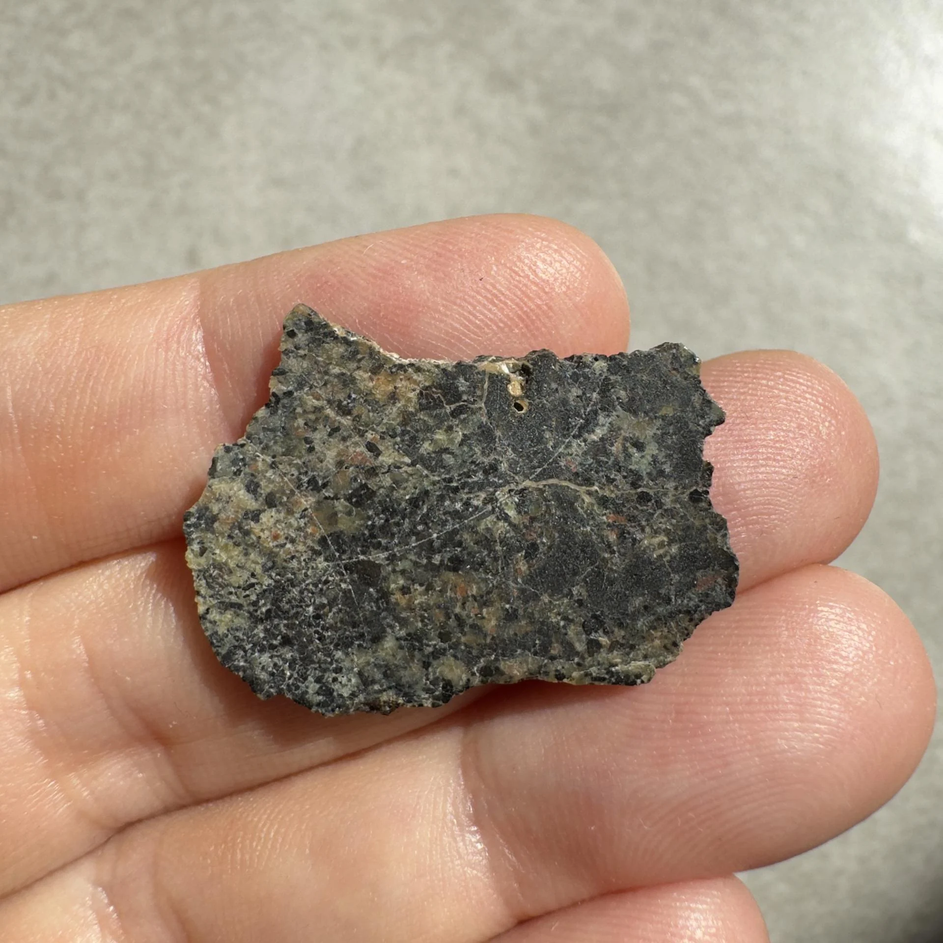 NWA 16051 shergottite