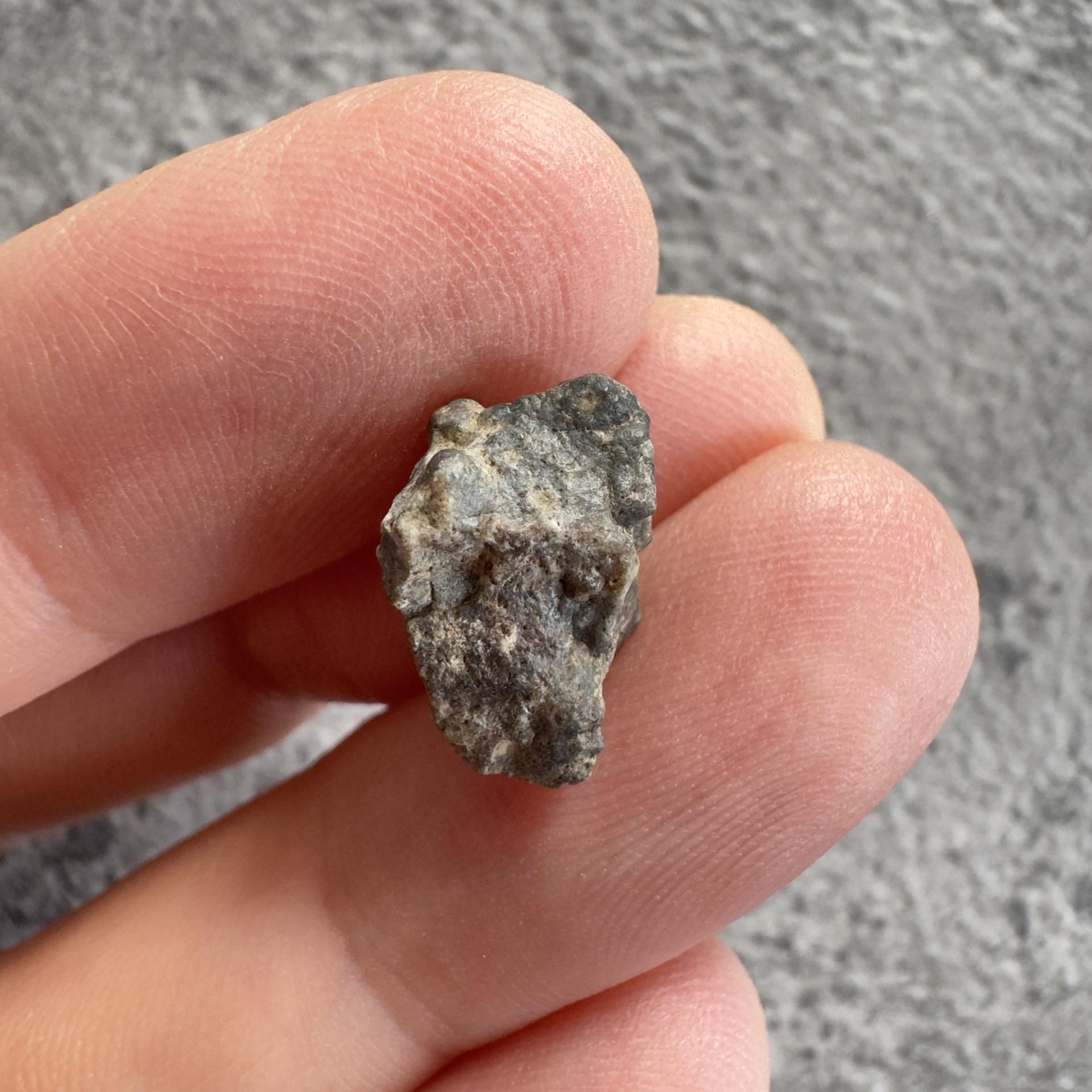 NWA 15169 lunar meteorite