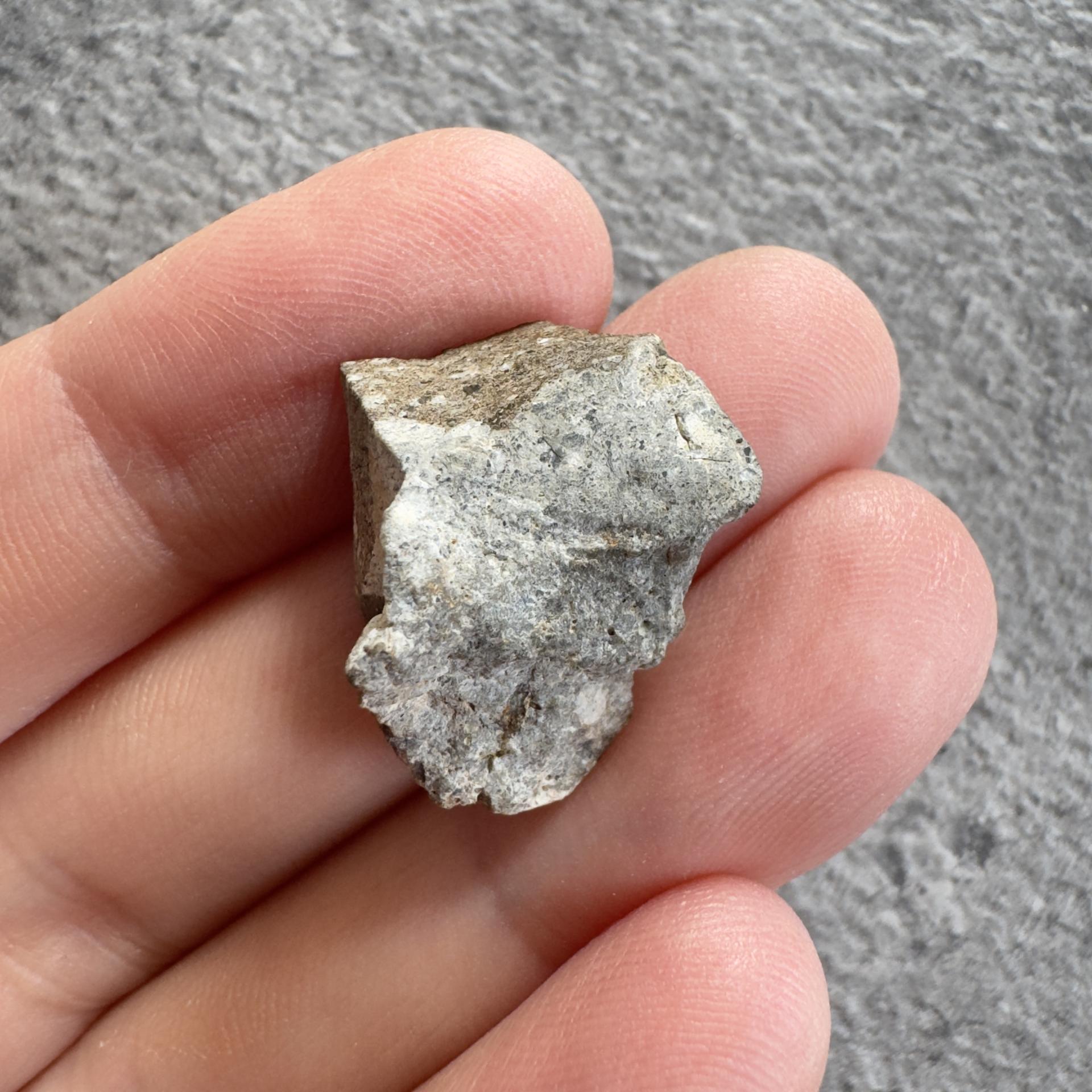 NWA 15169 lunar meteorite