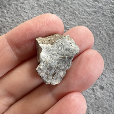 NWA 15169 météorite lunaire