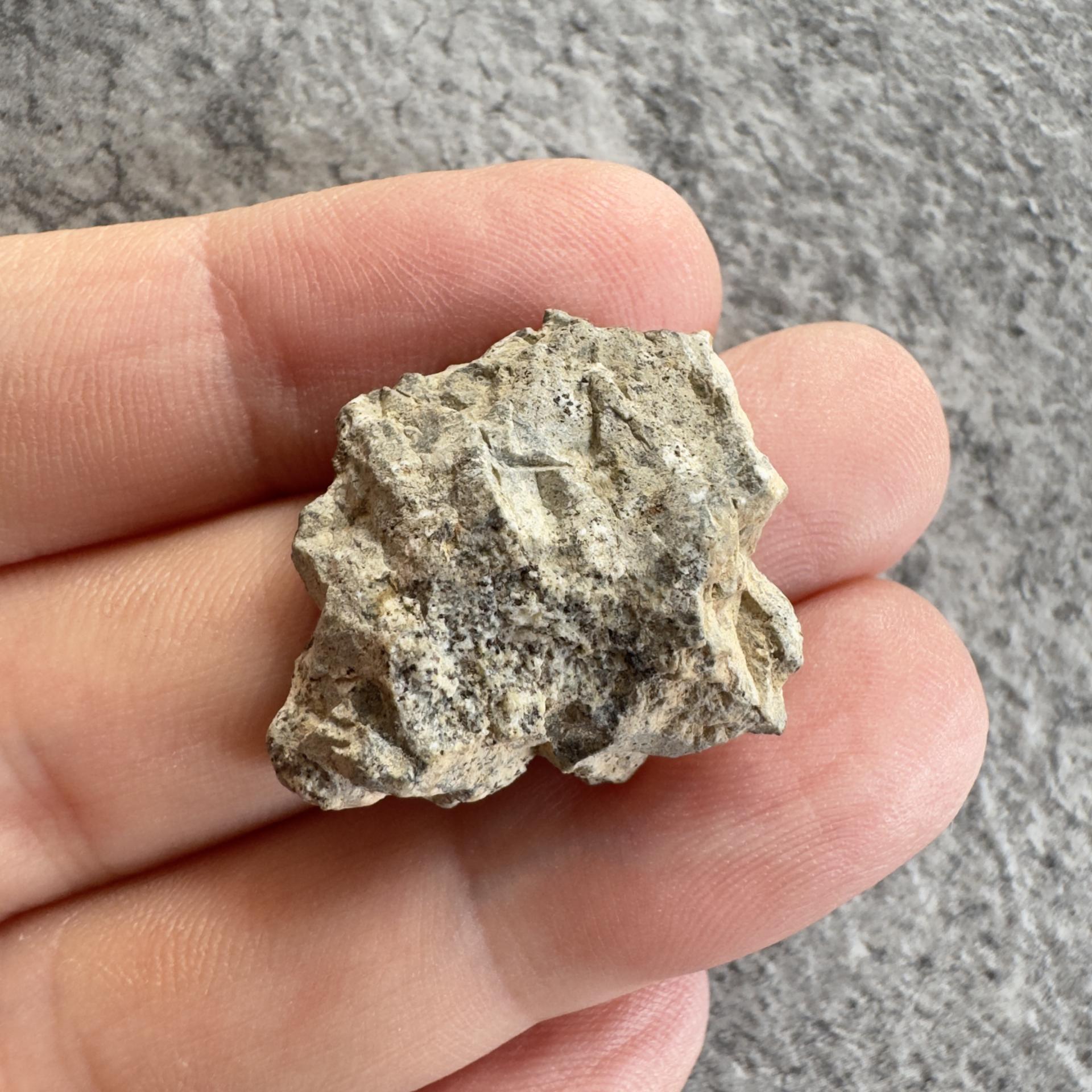NWA 15169 lunar meteorite