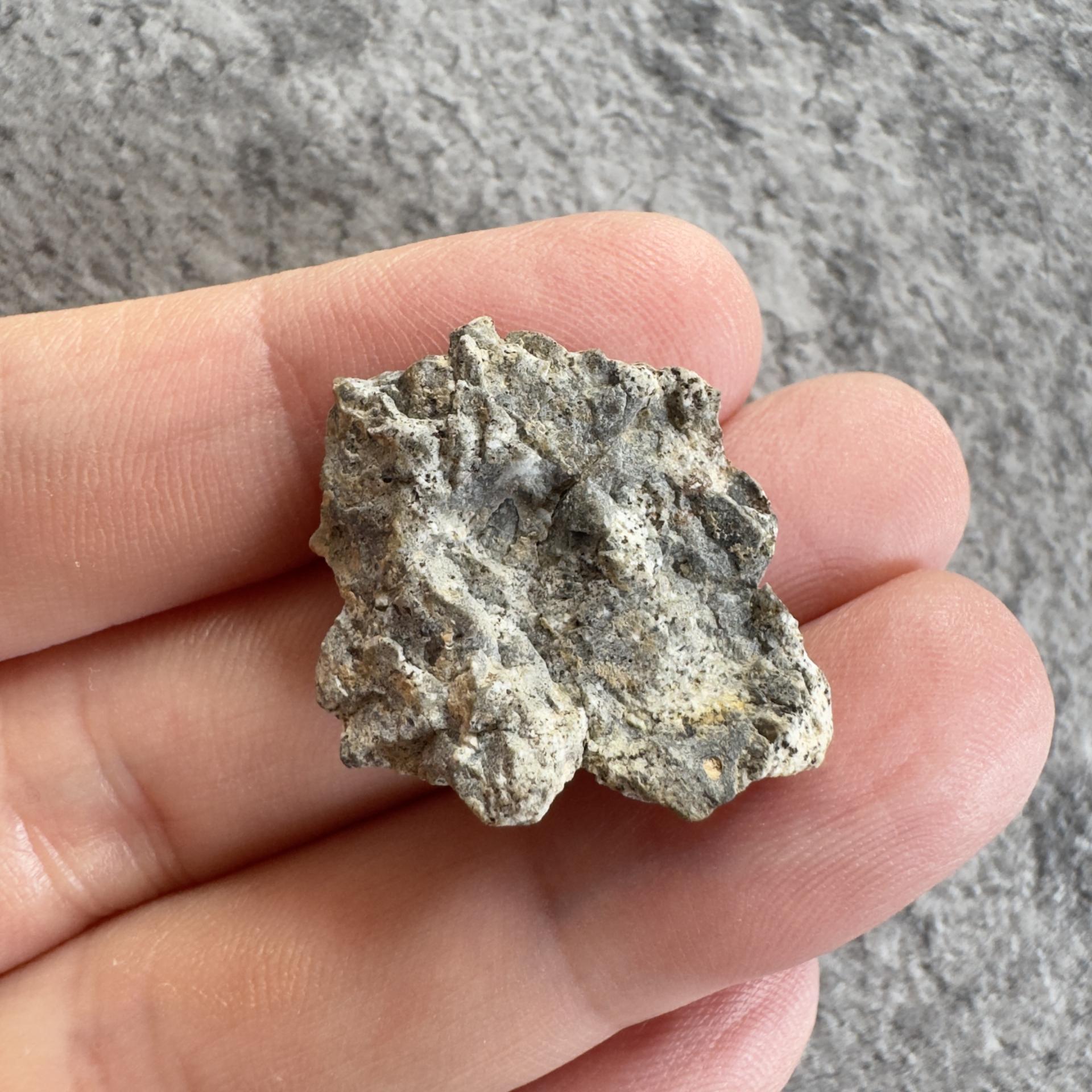 NWA 15169 lunar meteorite