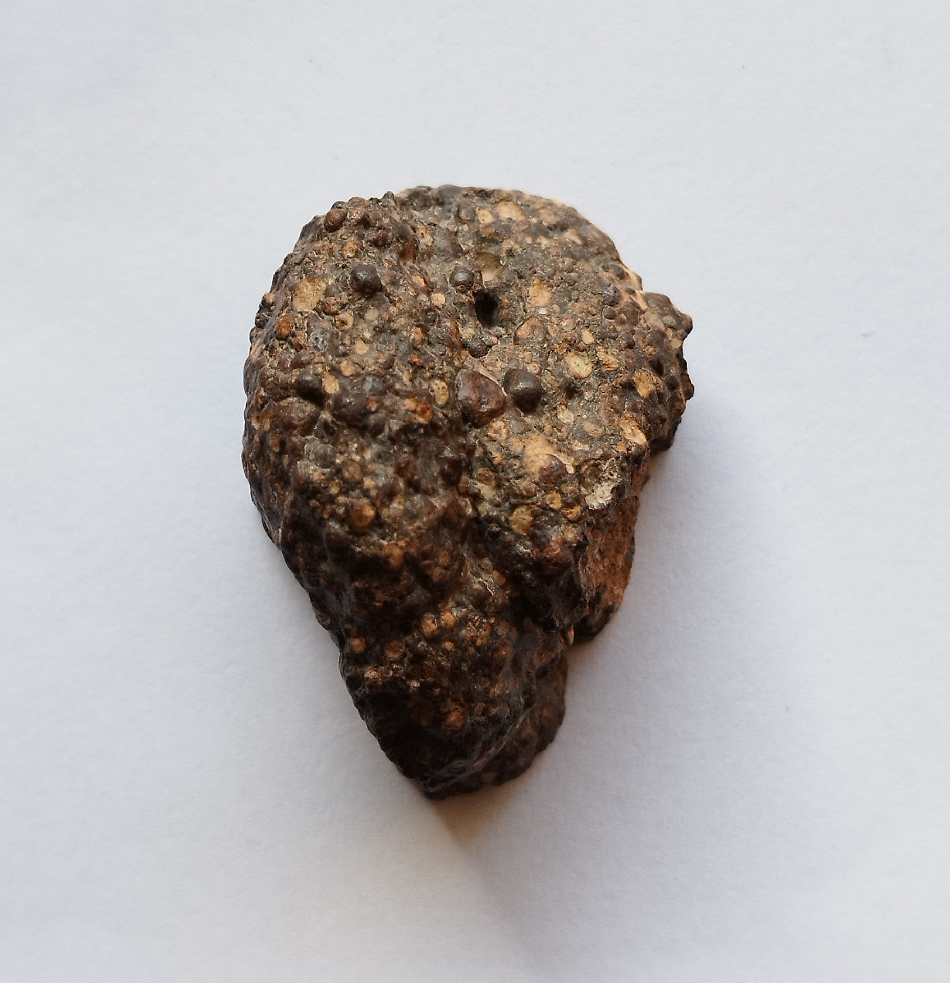 Carbonnaceous CR2 - NWA 15175