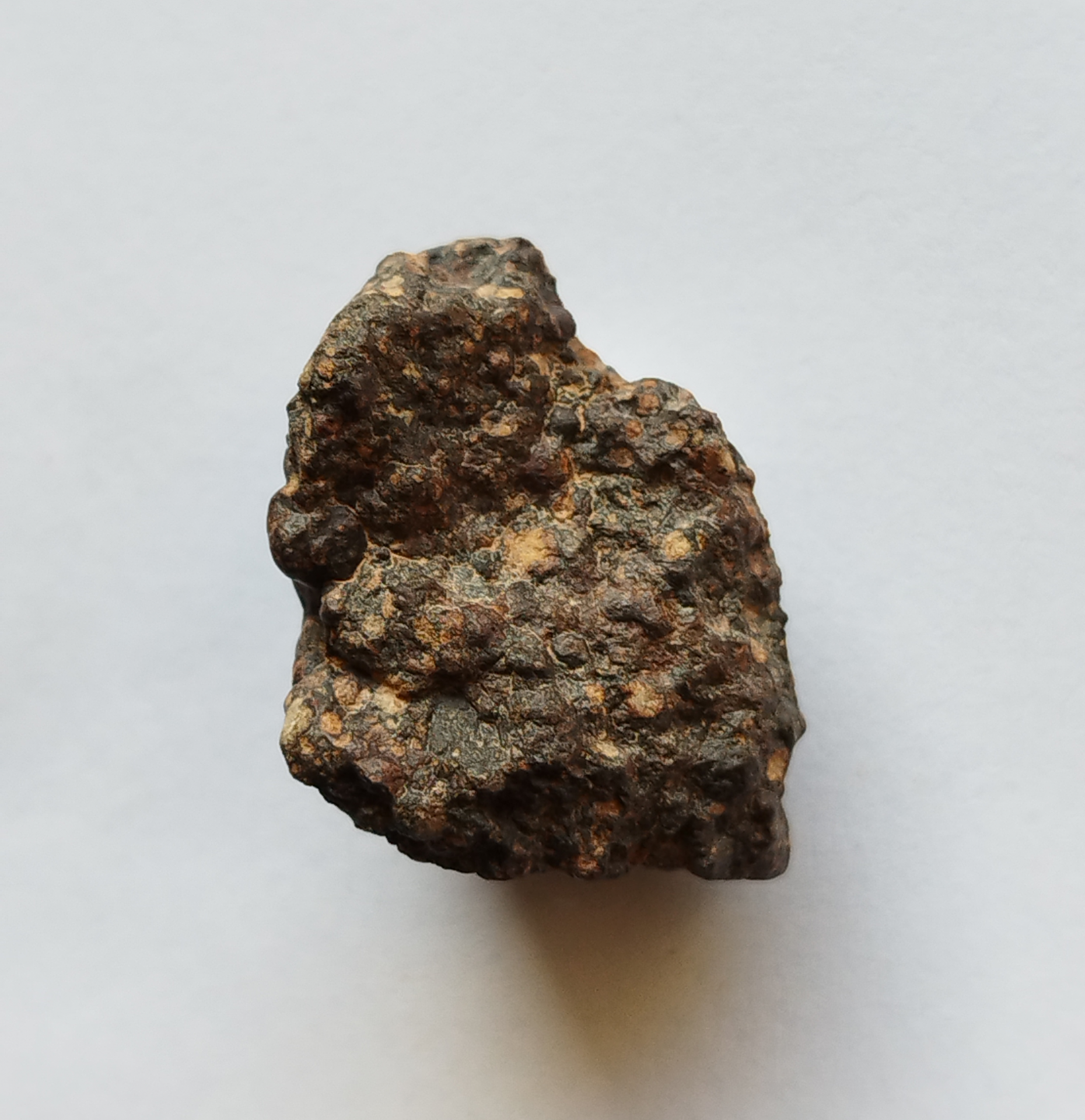 Carbonnaceous CR2 - NWA 15175