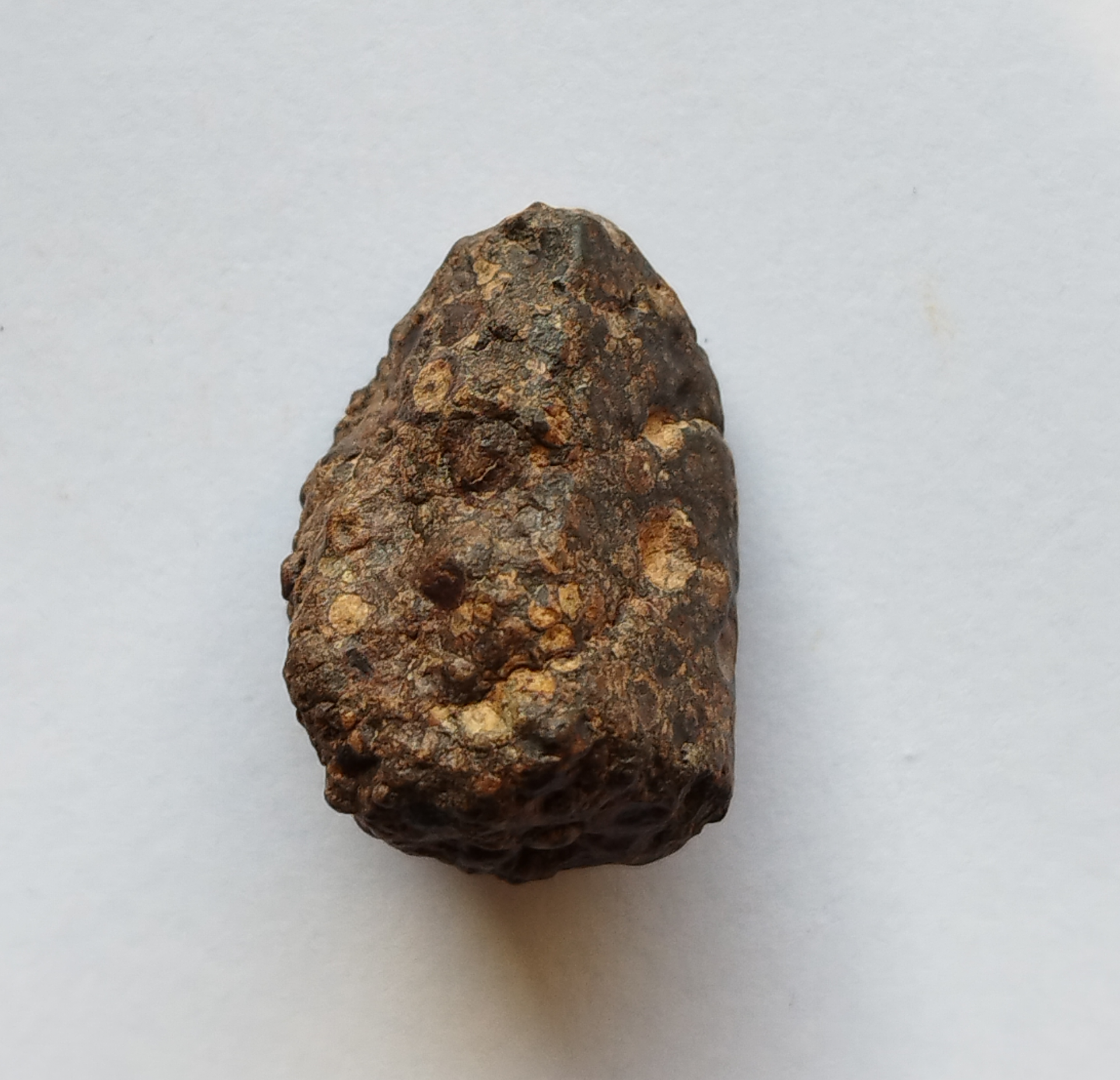 Carbonnaceous CR2 - NWA 15175