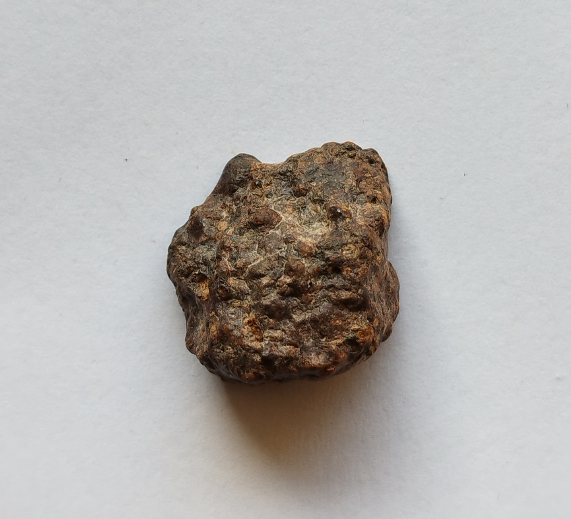 Carbonnaceous CR2 - NWA 15175