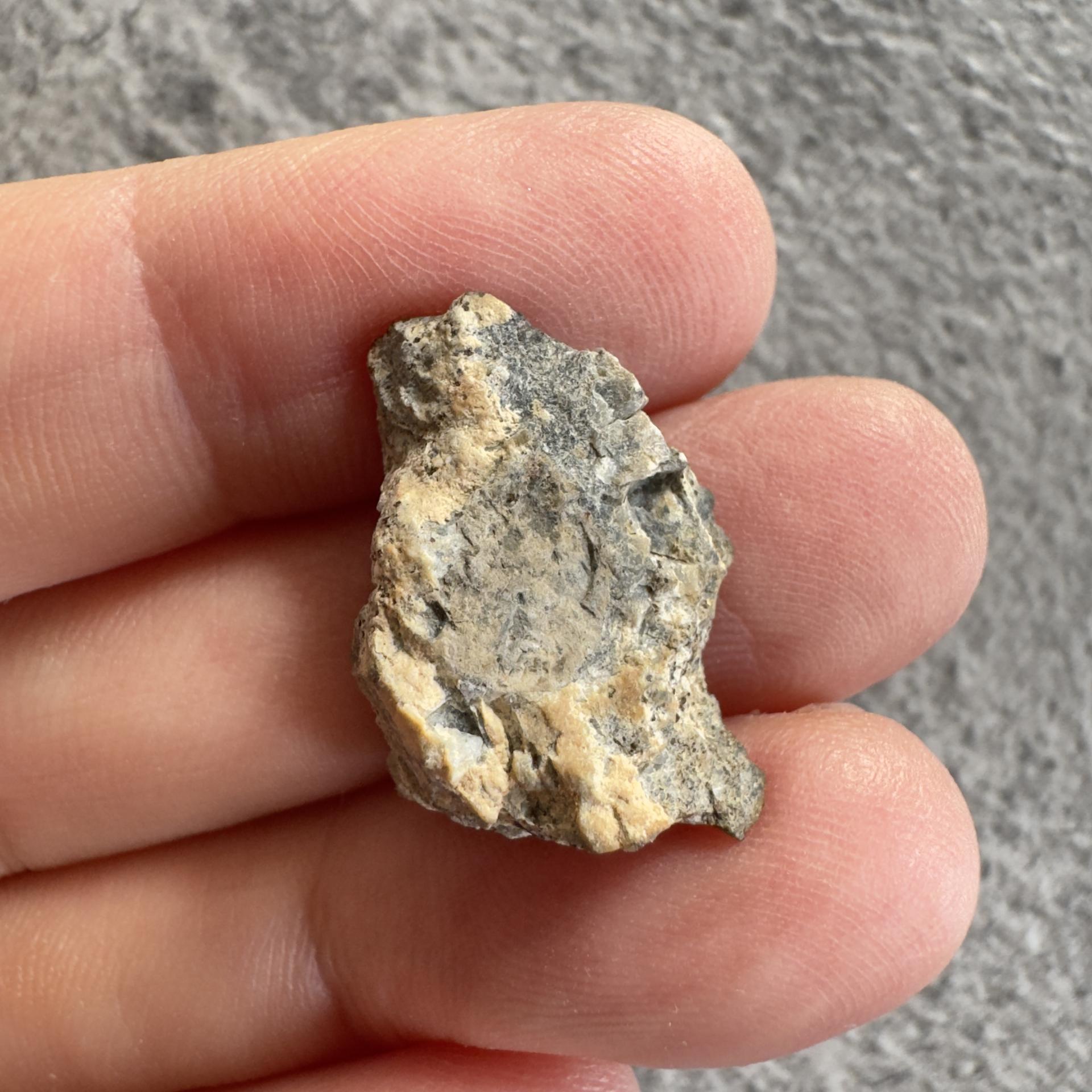 NWA 15169 lunar meteorite