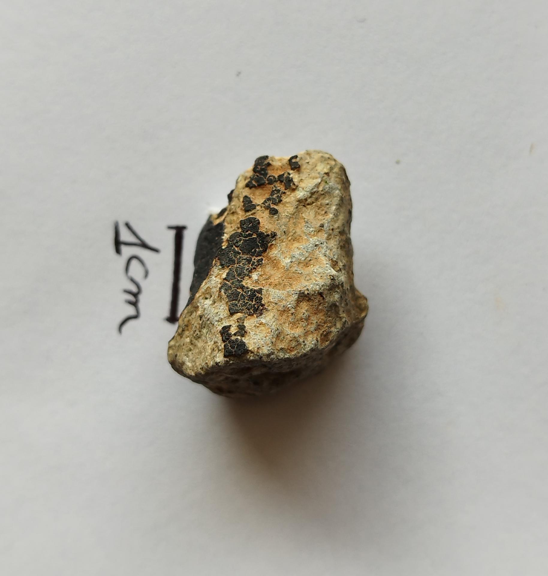 NWA 15717 pairing dunite ung achondrite