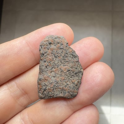 Ouargla 010 shergottite