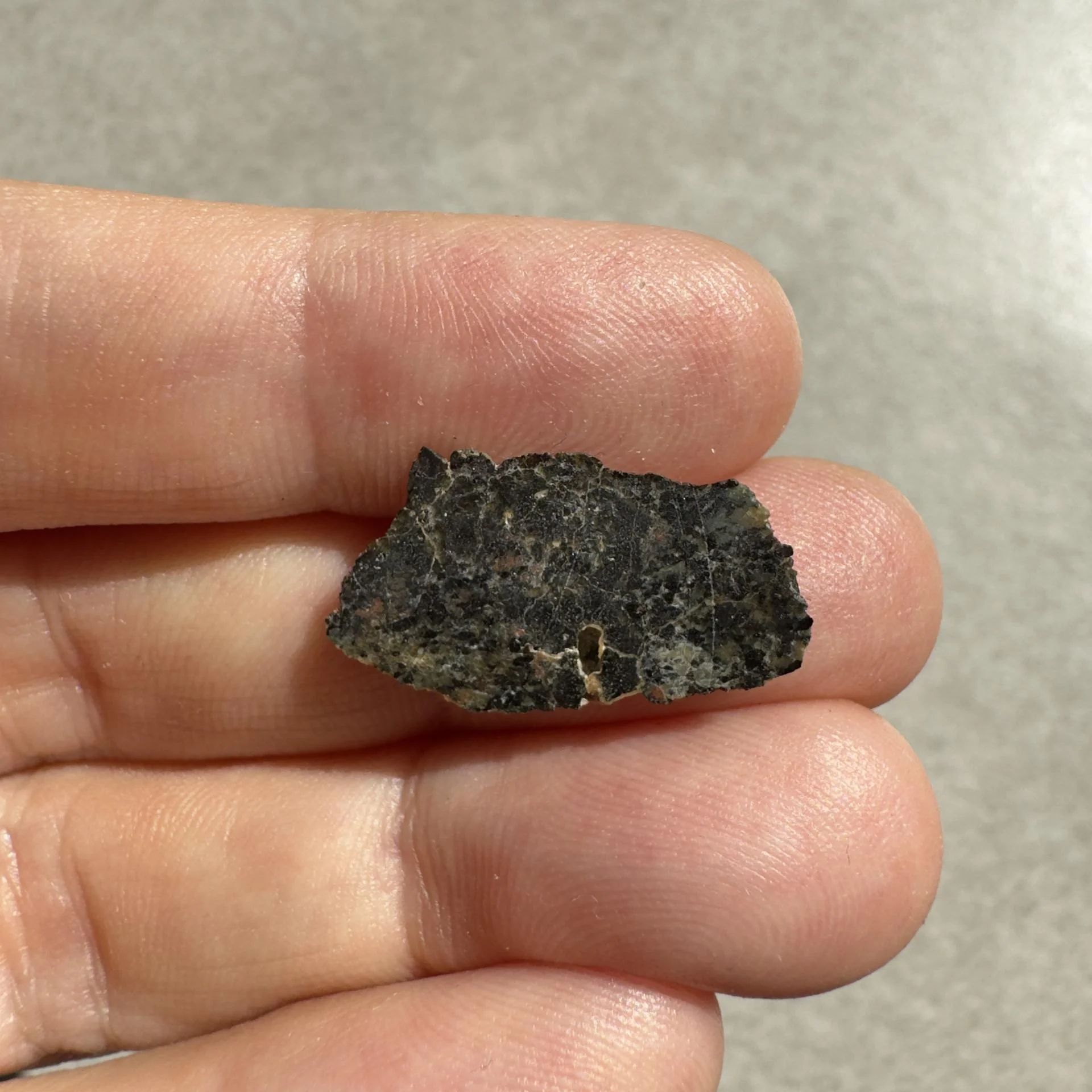 NWA 16051 shergottite