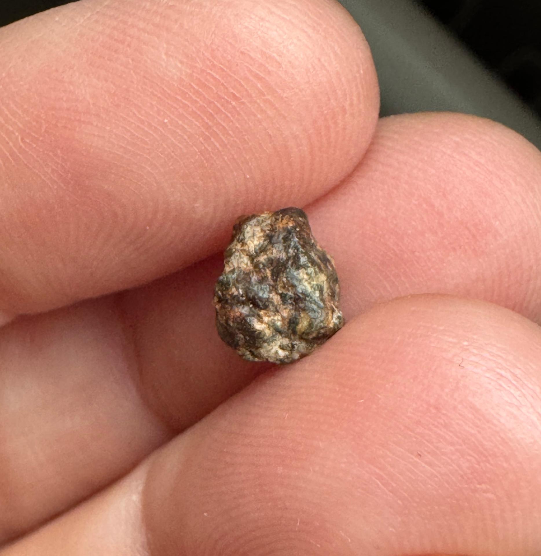 Erg Chech 002 meteorite