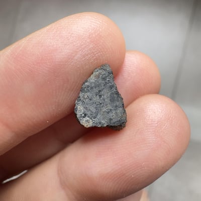 Ouargla 010 shergottite
