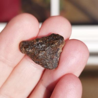 Amgala 001 shergottite