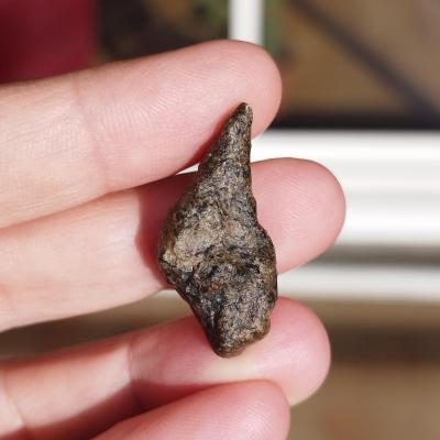 Amgala 001 shergottite