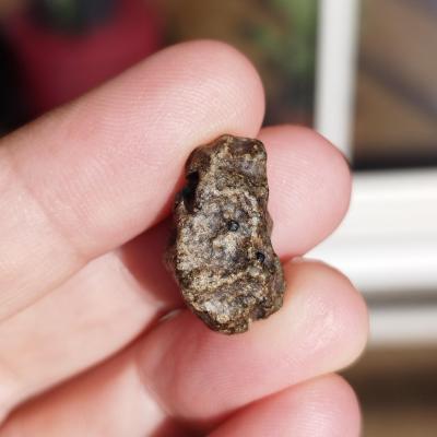 Amgala 001 shergottite