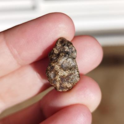 Amgala 001 shergottite