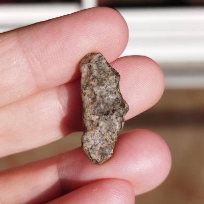 Amgala 001 shergottite