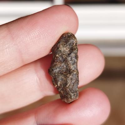 Amgala 001 shergottite