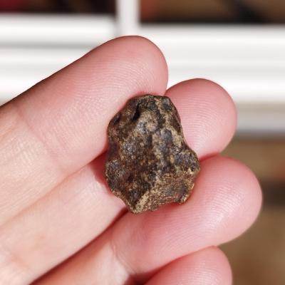 Amgala 001 shergottite