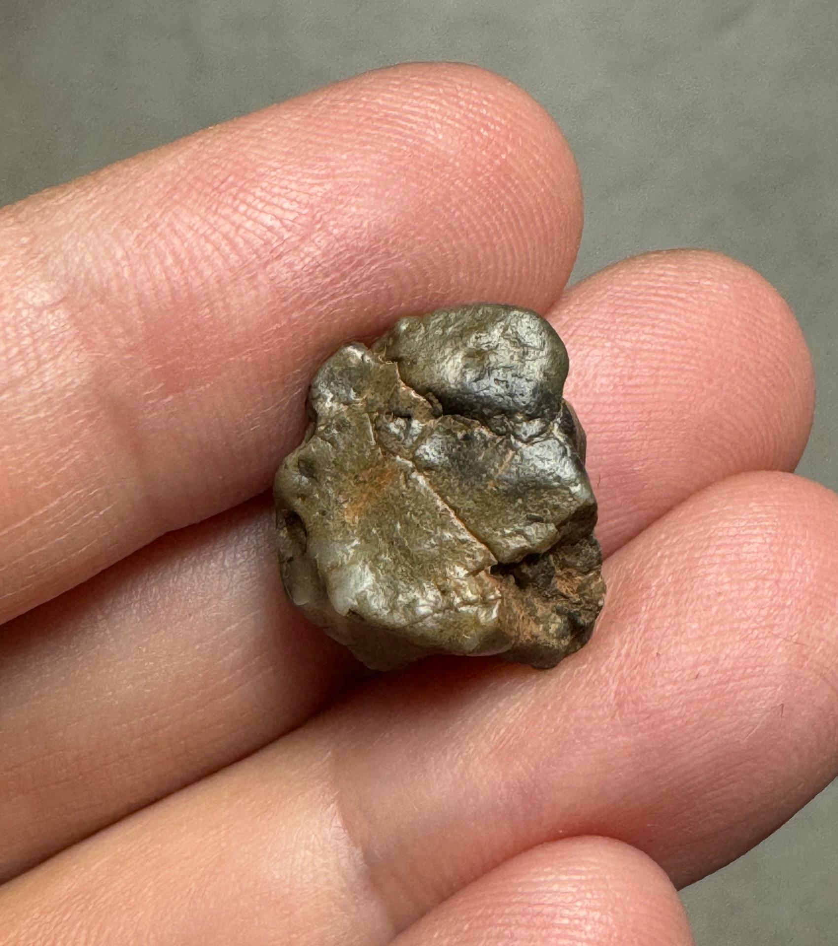 NWA 16888 lunar