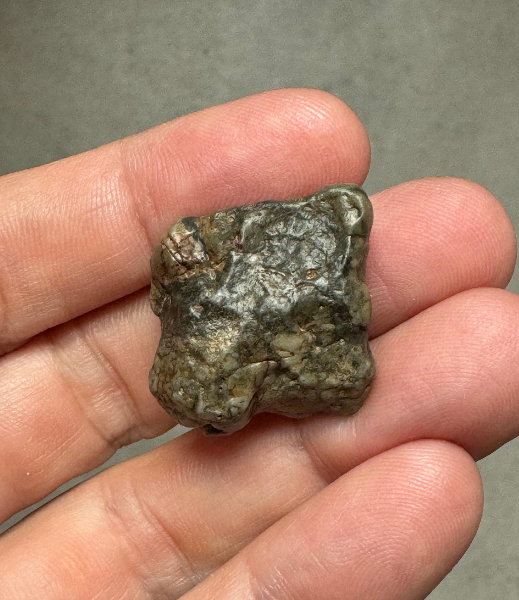NWA 16888 lunar