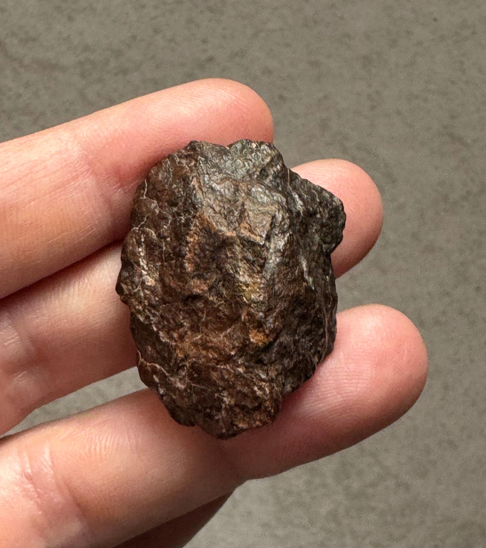 Achondrite ung - NWA 13272