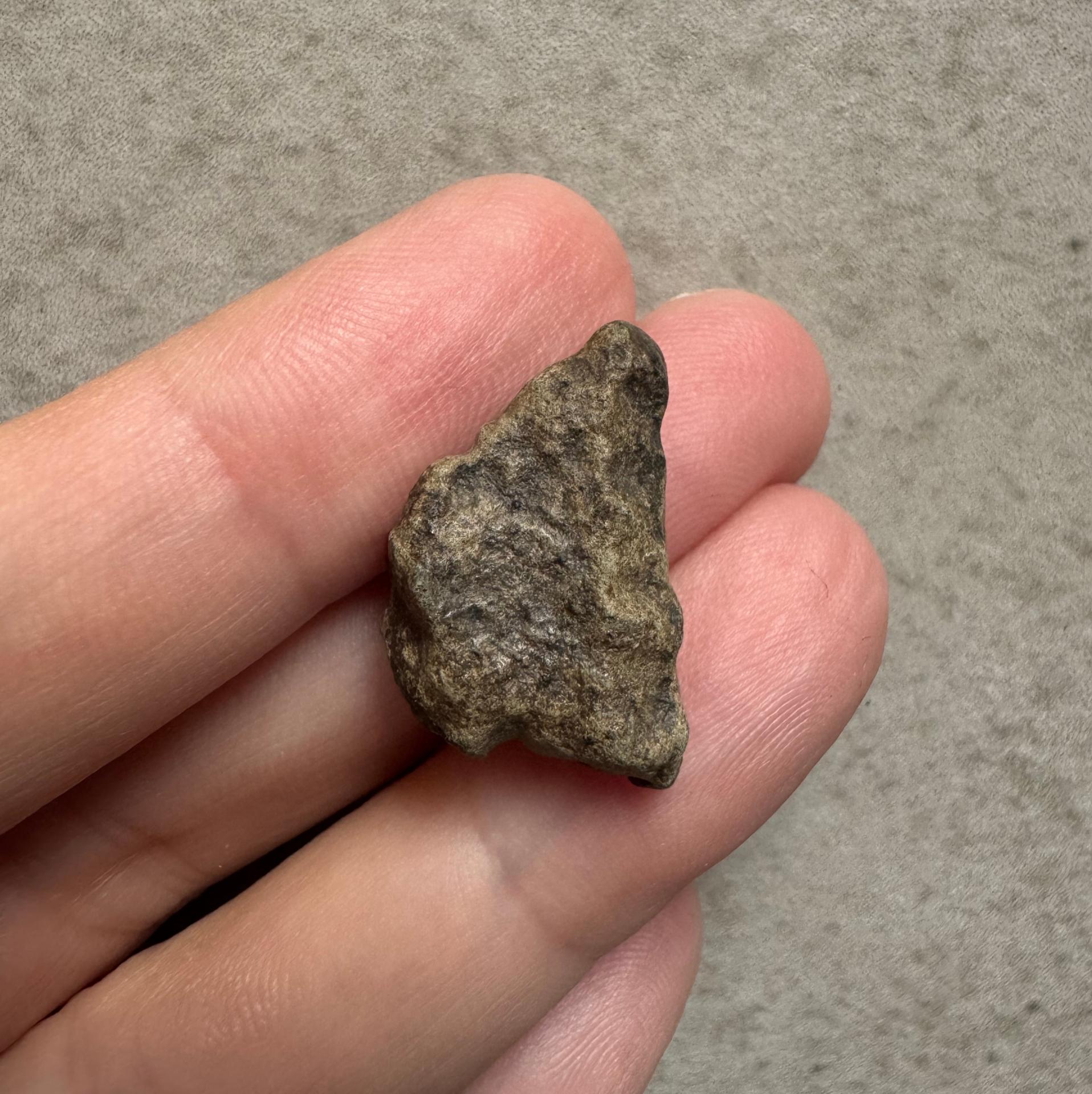 Amgala 001 shergottite