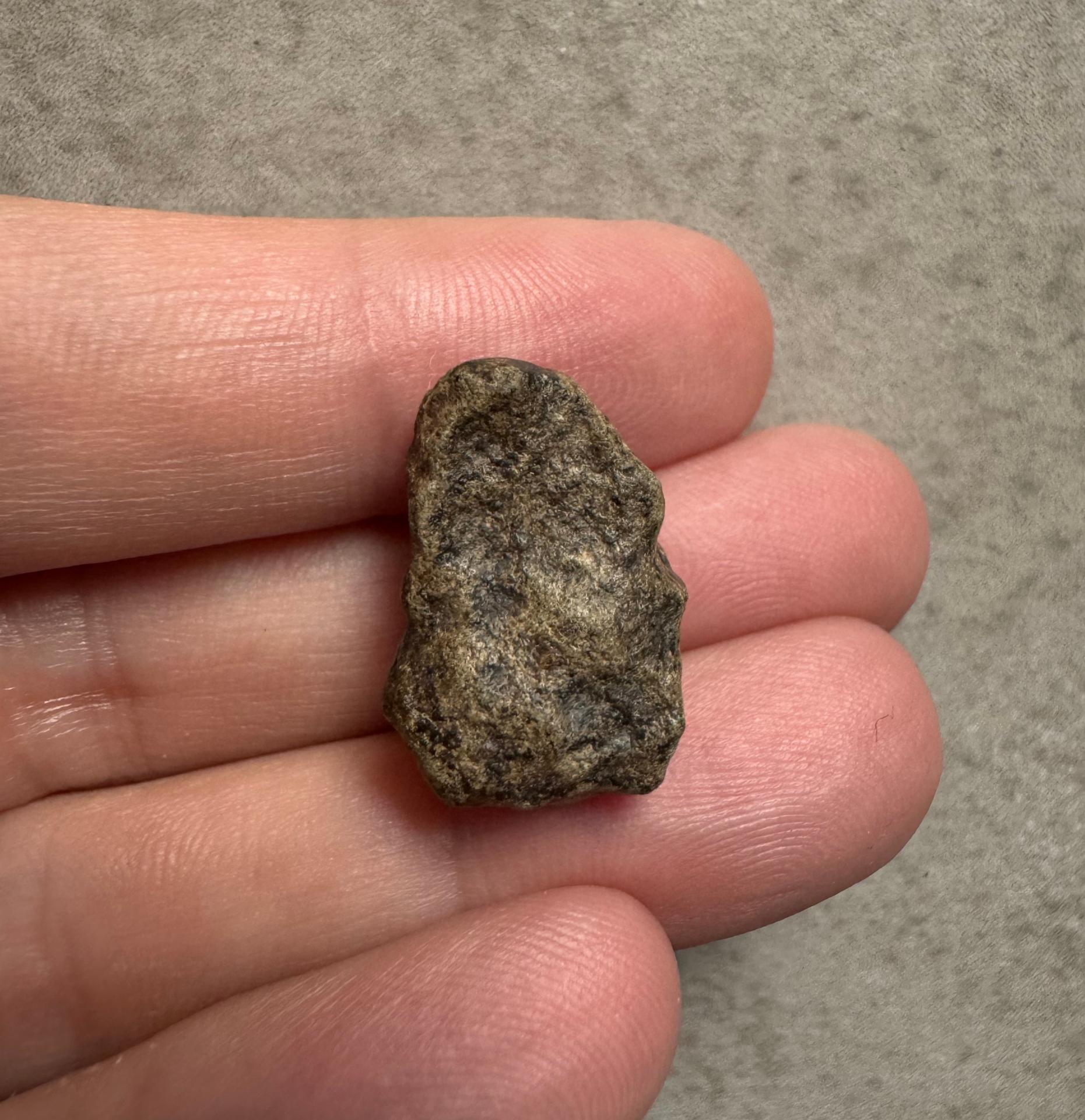 Amgala 001 shergottite