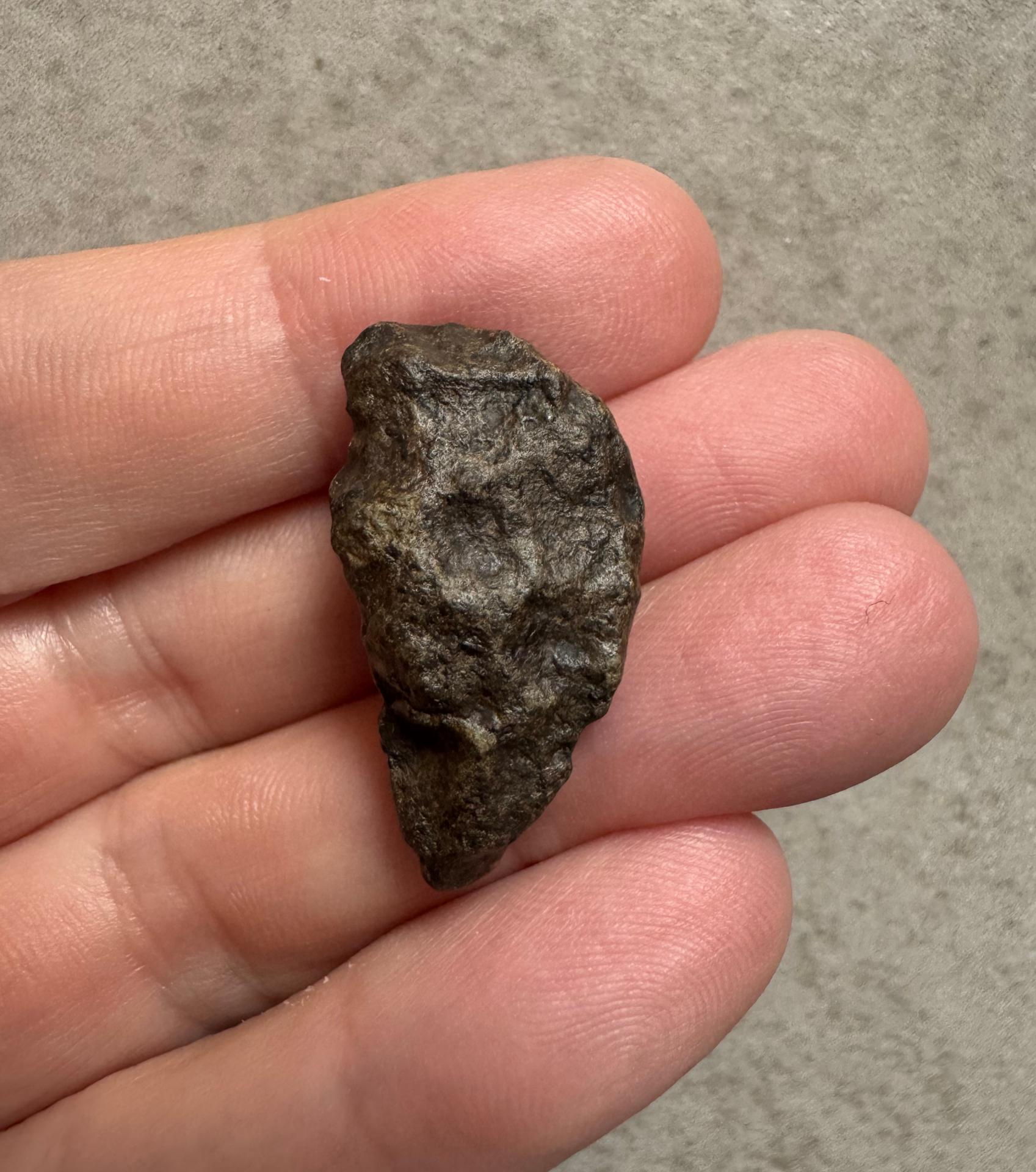Amgala 001 shergottite