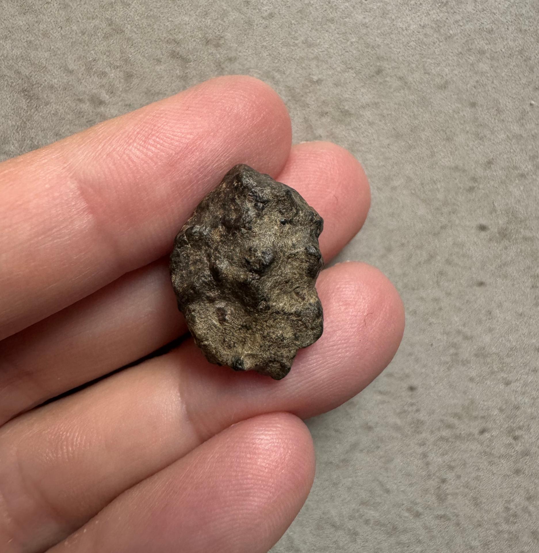 Amgala 001 shergottite