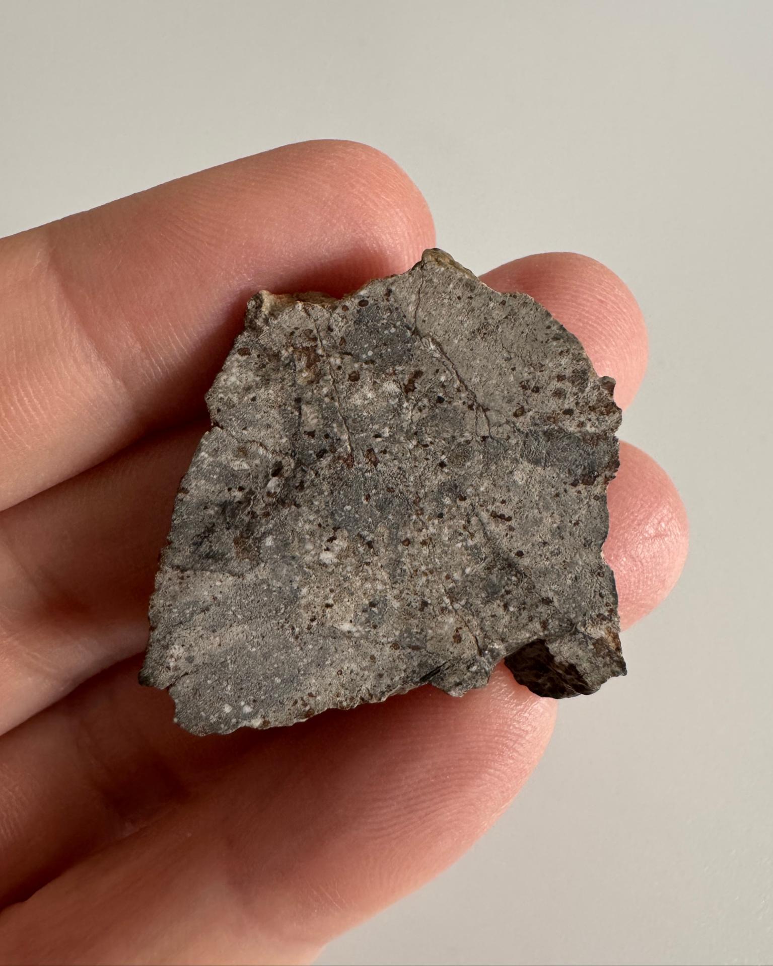 Eucrite - NWA 13064