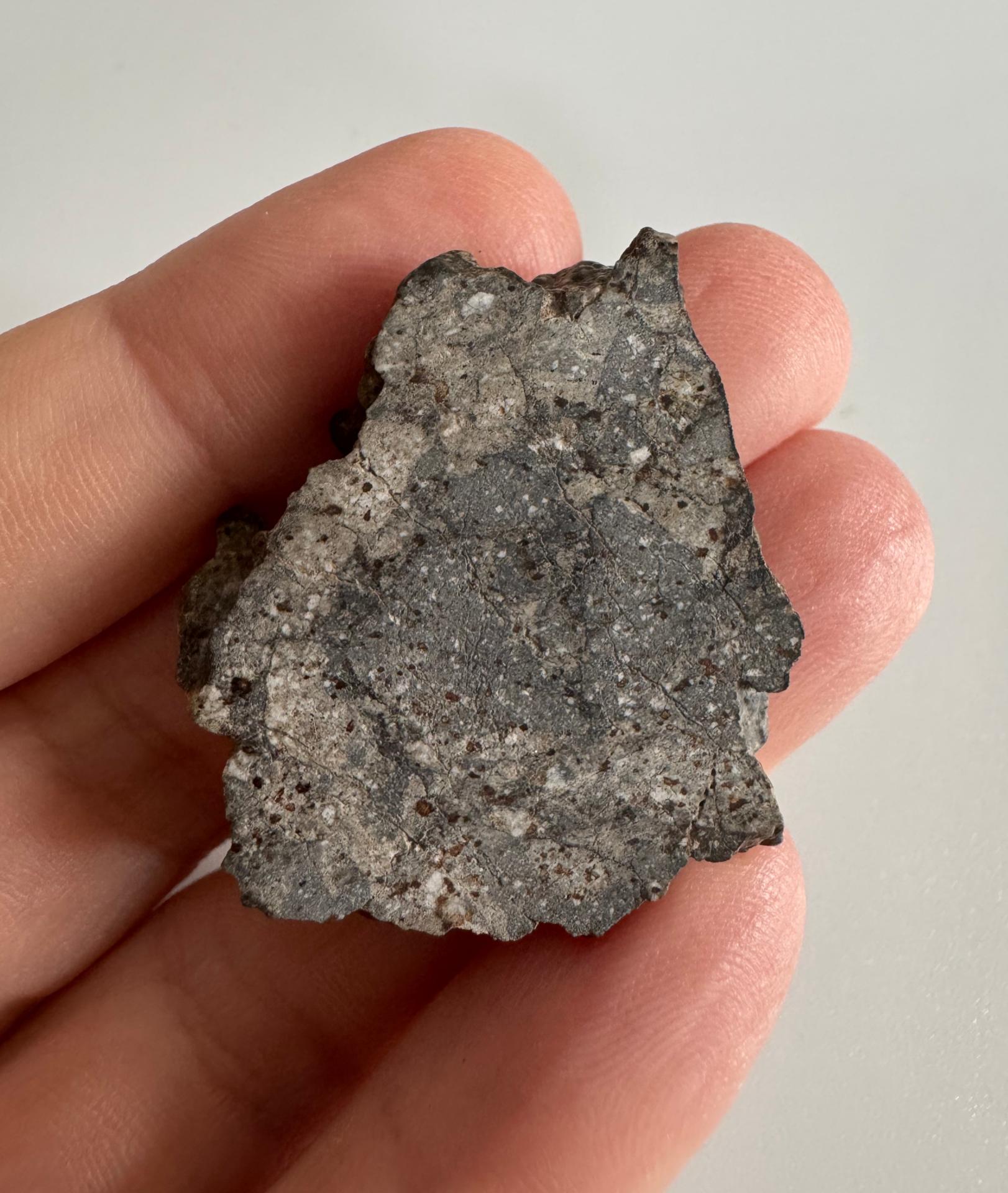 Eucrite - NWA 13064