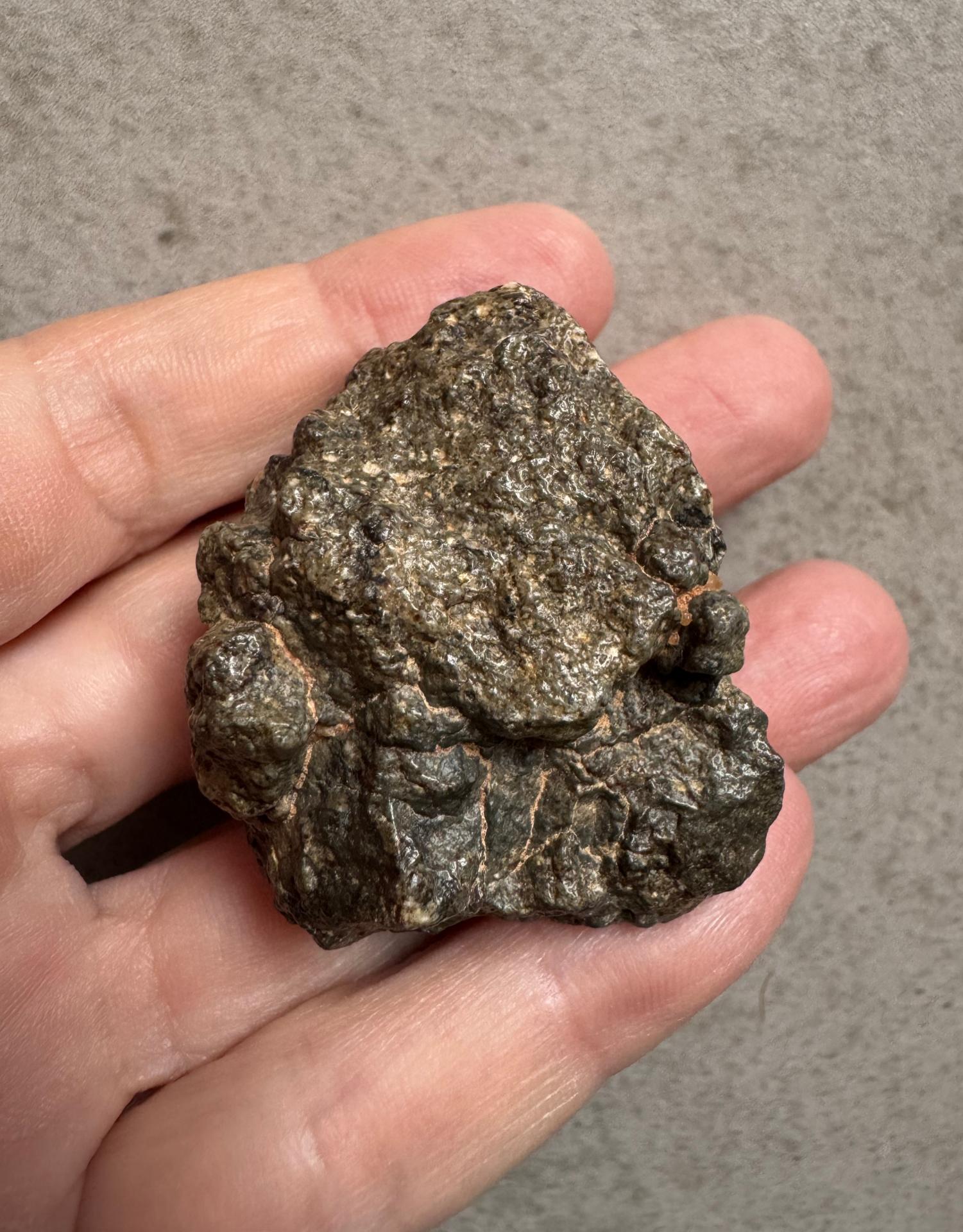 Eucrite - NWA 13064